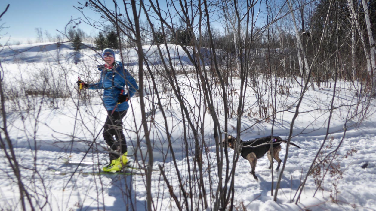 SUDBURY ROCKS!! RUNNING CLUB